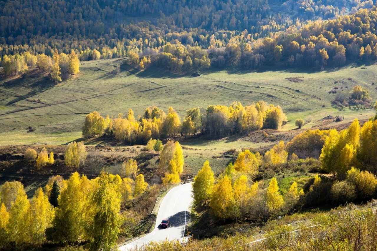 新疆,嘉宾云集,观众热情如火