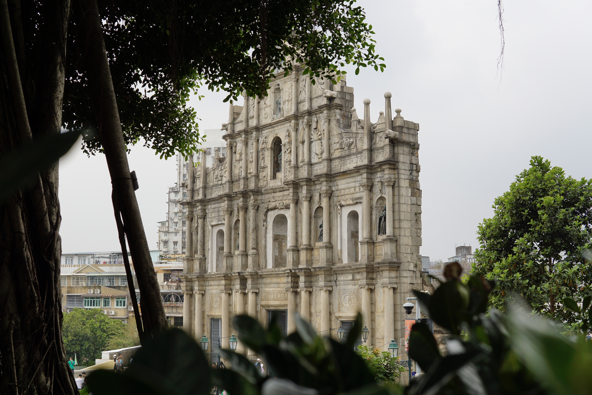 澳门阳光下的温馨故事